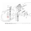 Plunger / EinspritzElement Beta Marine Beta 28 / Beta 30 – Nanni N3.30 – Universal M-25XPB
