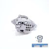 Lichtmaschine Solé Diesel Mini 11 | Mini 17 | Mini 26 | Mini 29 | Mini 48 – Vetus M2.04 / M2.06 / M2.C5 / M2.D5