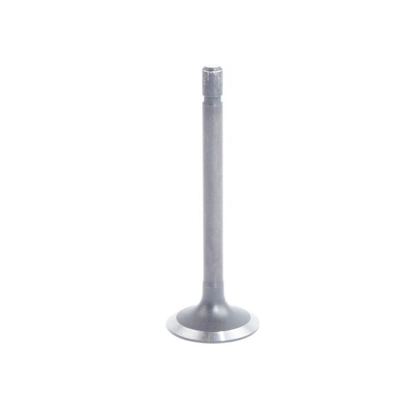 Auslassventil Beta Marine Beta 16 | Beta 25 – Phasor K2-4.5