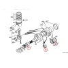 Hauptlagersatz – Beta Marine Beta 10 / Beta 14 / Beta 20 | Nanni N2.10 / N2.14 / N3.21