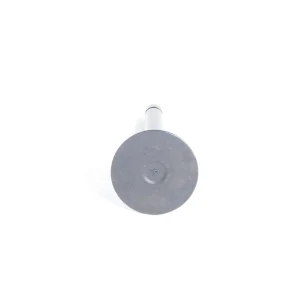 Einlassventil Beta Marine Beta 50 – Nanni N4.50