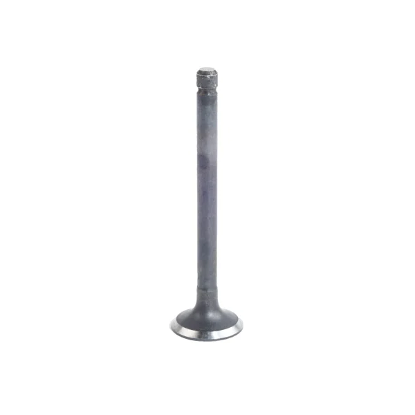 Einlassventil Beta Marine Beta 28 &amp; Beta 30 | Beta 38 – Nanni N3.30 | N4.38 – Universal M-25XPB