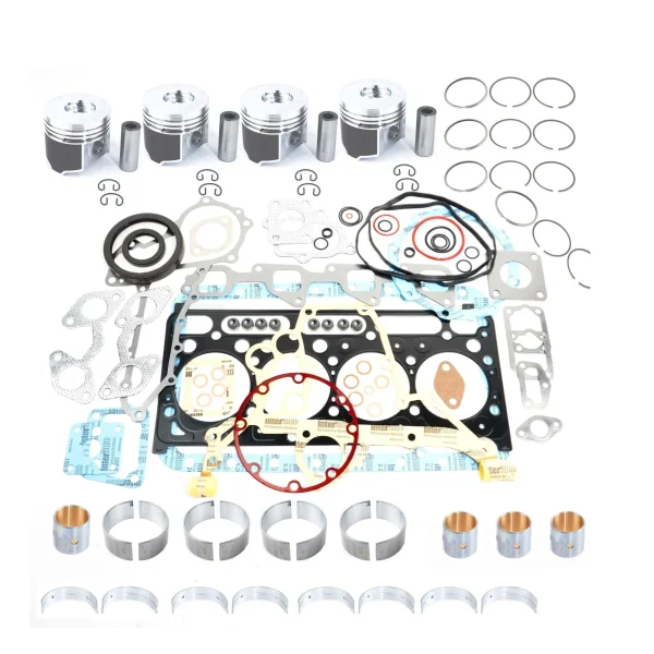 Motorüberholungssatz Beta Marine Beta 50 – Nanni N4.50 (Direkteinspritzung / DI)