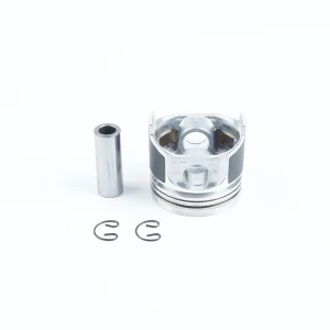 Motorüberholungssatz Beta Marine Beta 38 | Beta 45T – Nanni N4.38