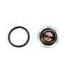 Thermostat Beta Marine Beta 50 – Nanni N4.50