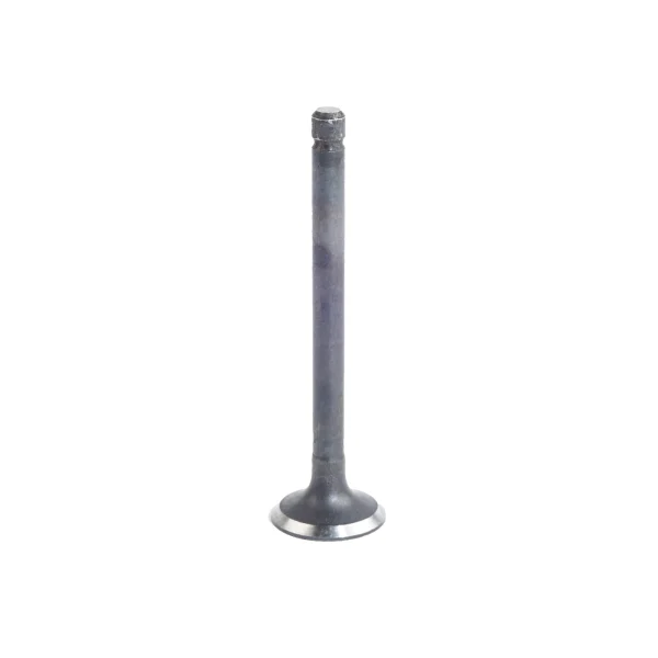 Einlassventil Universal M15